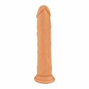 MISTER DIXX Caleb 7,8" silikonowy model anatomiczny z przyssawką 20 cm
