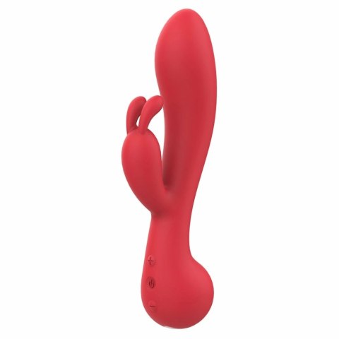 AMOUR Rabbit Vibe Camille silikonowy, 2 silniki, wodoodporny 22 cm