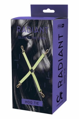 Dream Toys Radiant Hog Tie świecący w ciemności, zielony, 4 zapięcia