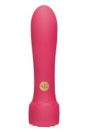 SECRET KISSES ROSEGASM Floral Boost Bullet 20 trybow USB silikonowy