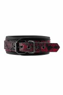 Blaze Deluxe Collar & Leash - regulowany zestaw z haftem, czarny